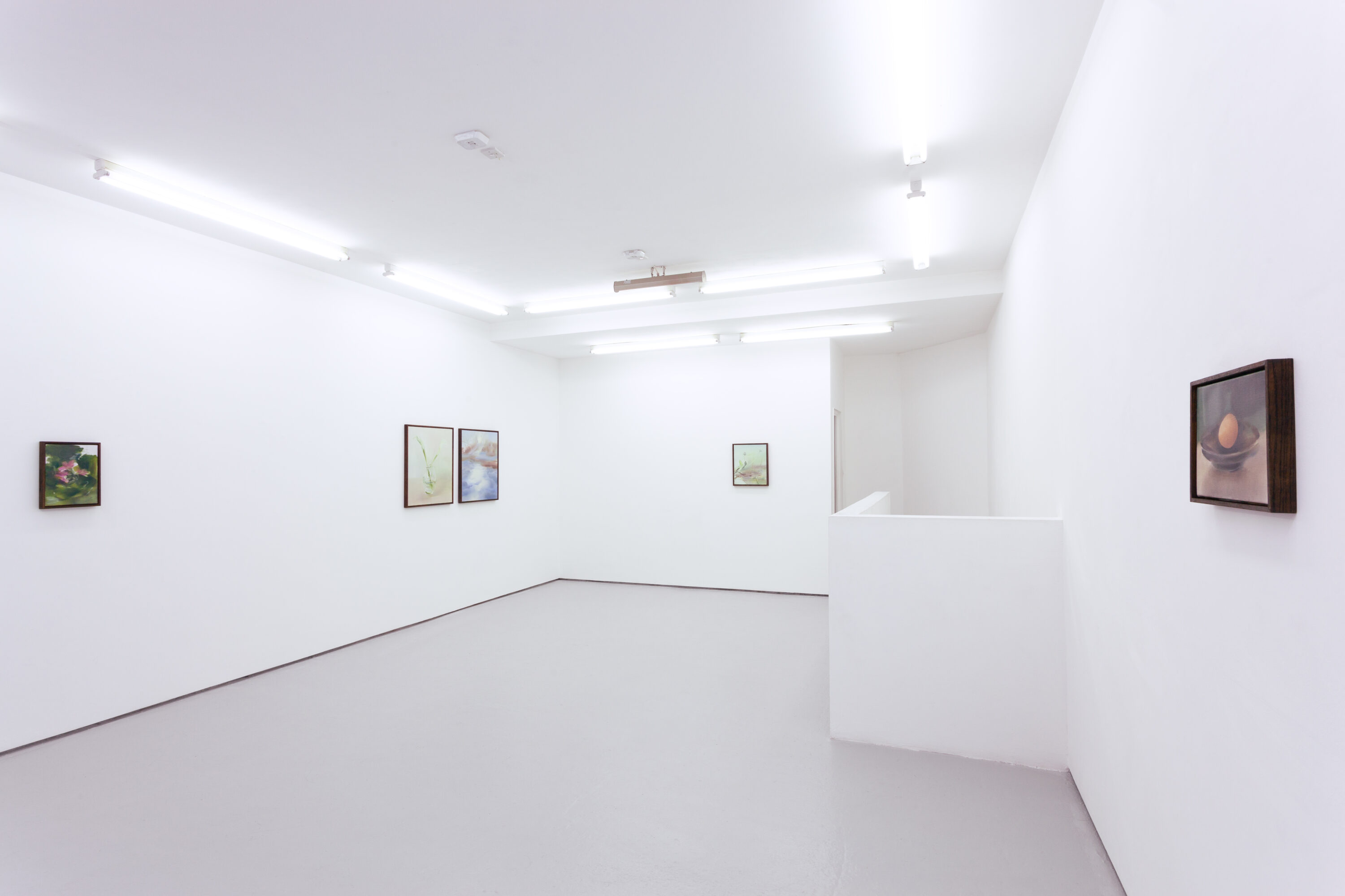 in the mountain strong wind