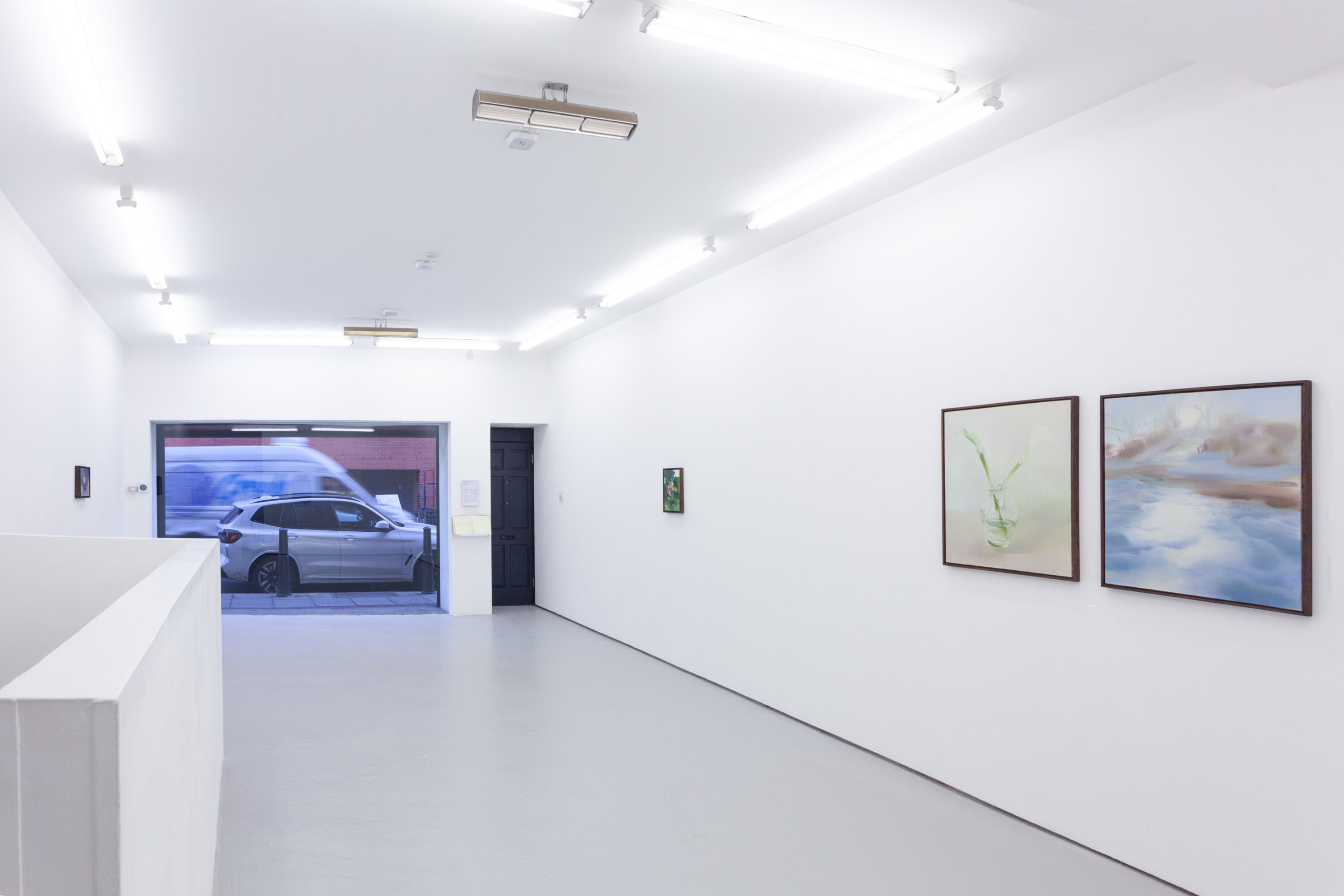 in the mountain strong wind