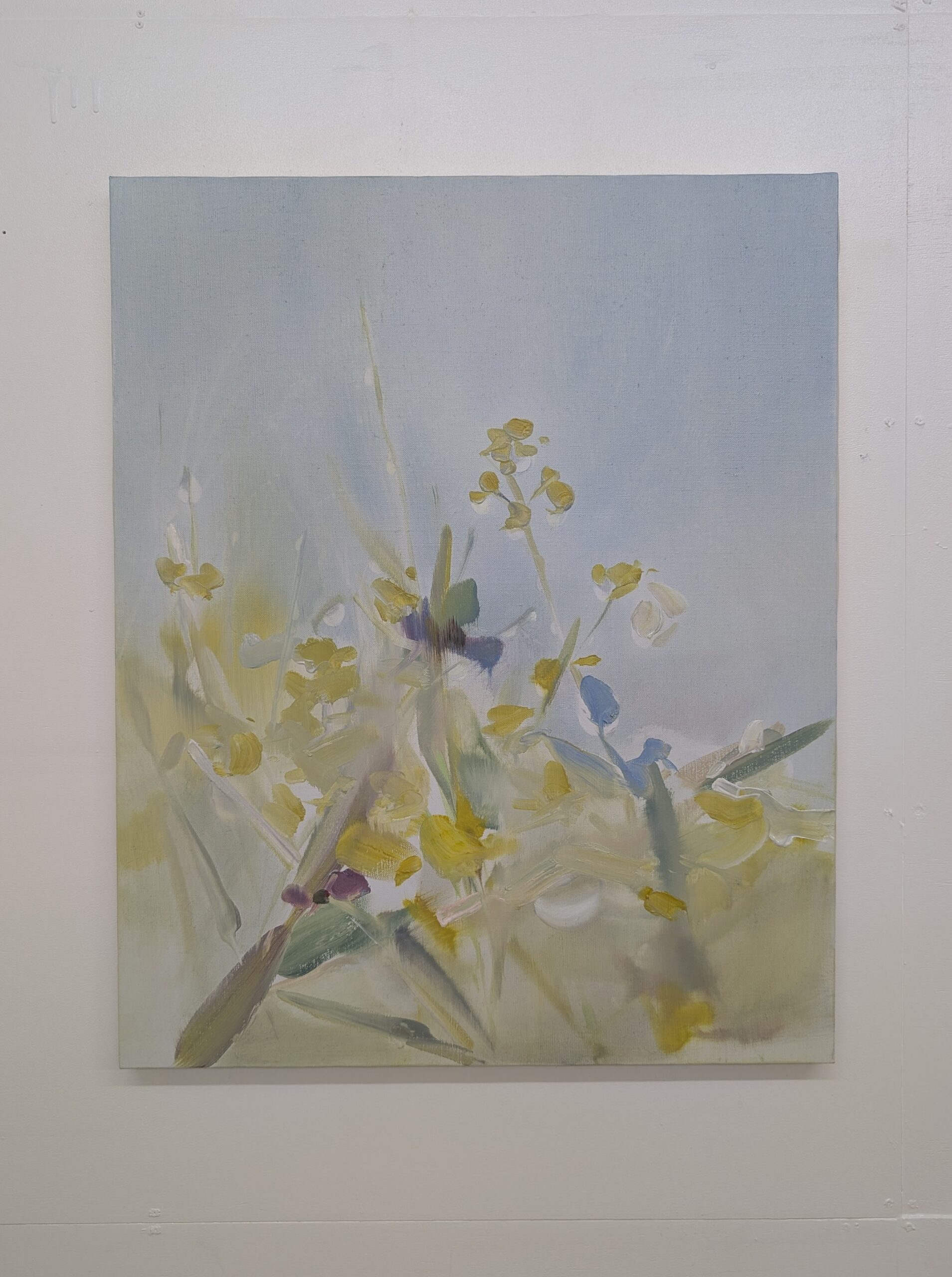 after the spring rains 652×530mm oil on canvas2025