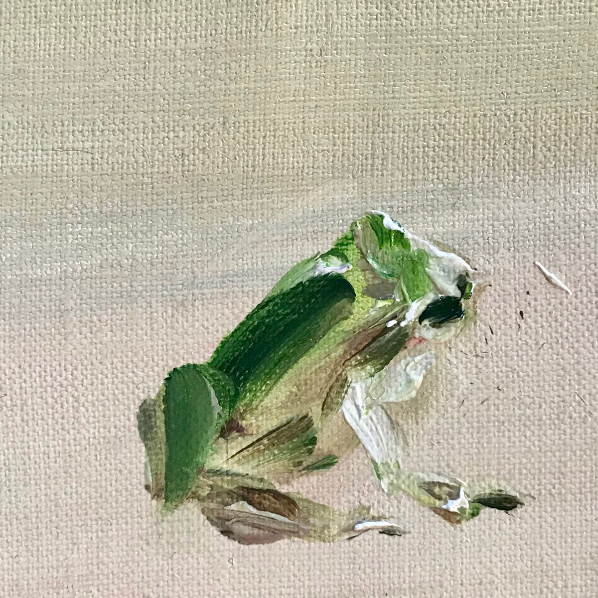 treefrog